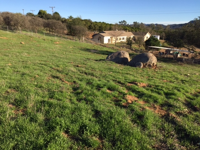 Lot 34 Cole Grade Road Valley Center, CA 92082 - Photo 1 of 19