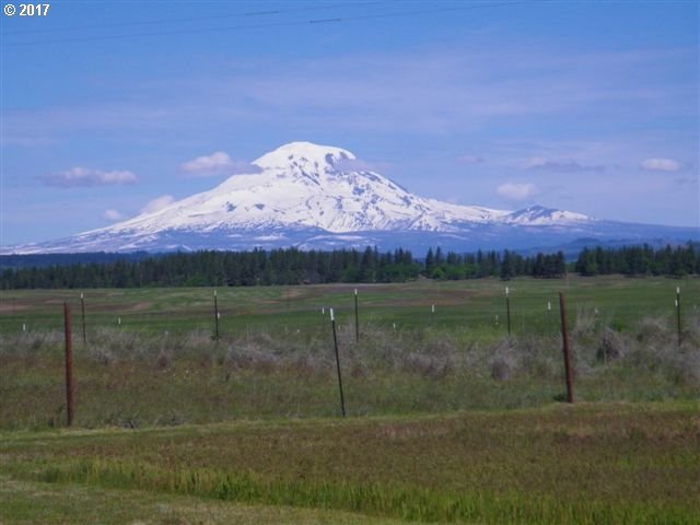 1056 Horseshoe Bend Road Centerville, WA 98613 - Photo 26 of 32 Gallery Image 26
