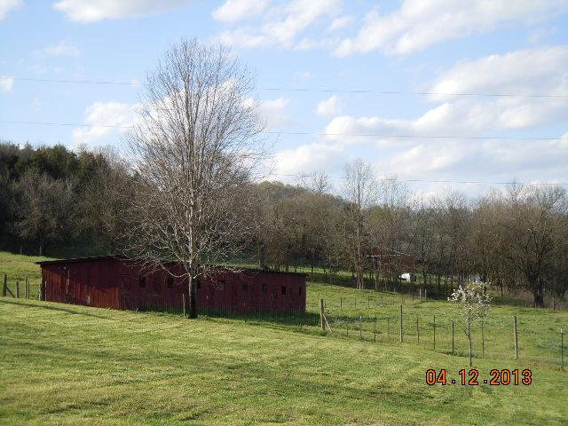 711 Club Springs Road Buffalo Valley, TN 38548 - Photo 4 of 30 Gallery Image 4