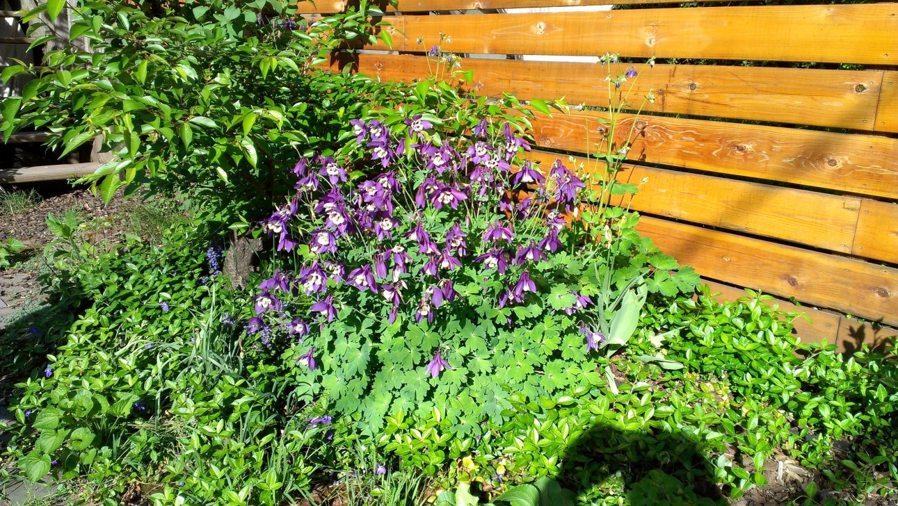 510 7th Street Brooklyn, NY 11215 - Photo 20 of 22