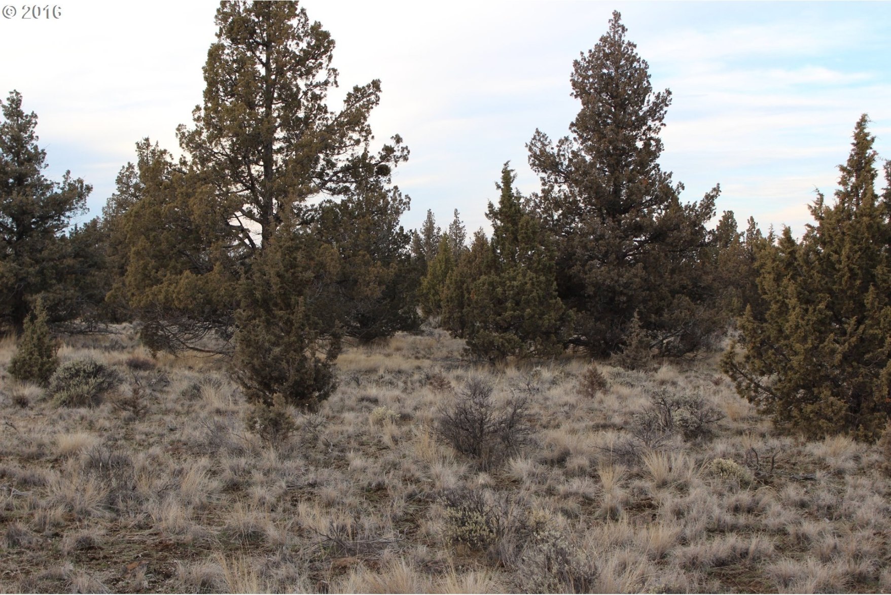 9646 Southwest Jordan Road Culver, OR 97734 - Photo 11 of 12 Gallery Image 11
