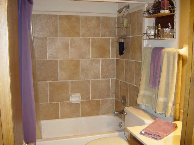 439 Dove Valley Road Collierville, TN 38017 - Photo 8 of 8