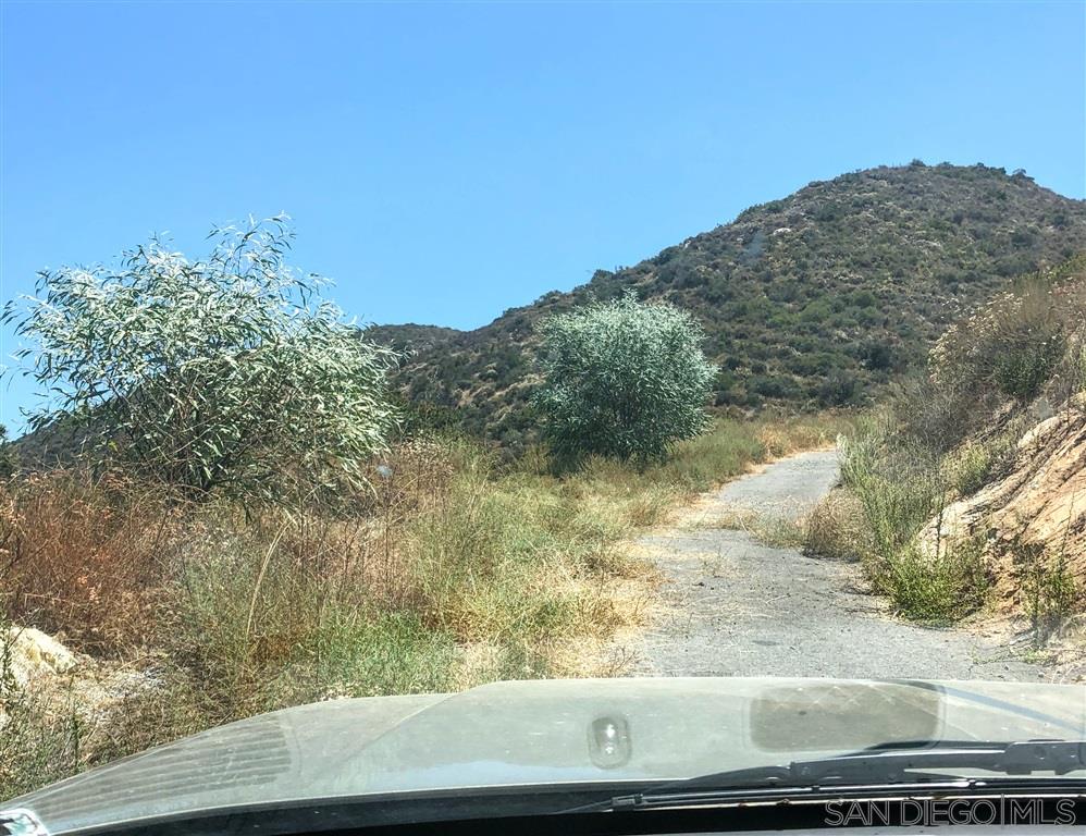 Jamul Drive Jamul, CA 91935 - Photo 5 of 12 Stay left of this bush and continue straight to the end.