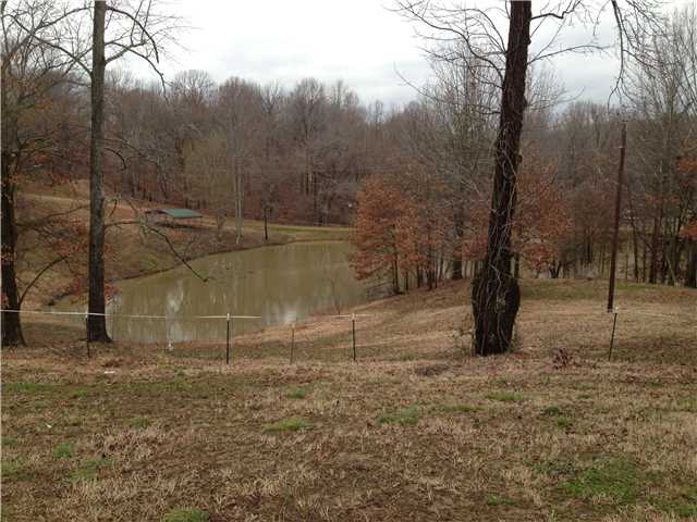 2791 Randolph Road Burlison, TN 38015 - Photo 3 of 10 Gallery Image 3