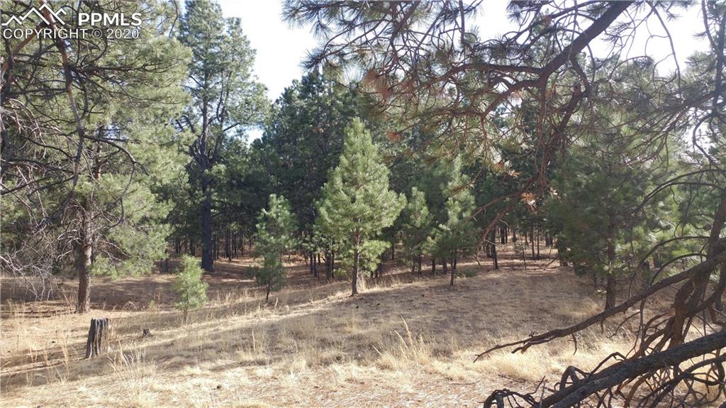 10020 Hodgen Road Colorado Springs, CO 80908 - Photo 8 of 19