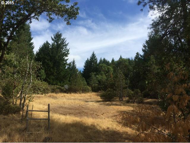1933 Byron Creek Road Winston, OR 97496 - Photo 16 of 16