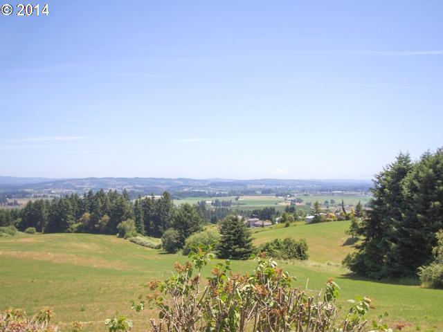 33507 Southwest Laurel Road Hillsboro, OR 97123 - Photo 10 of 16 Gallery Image 10