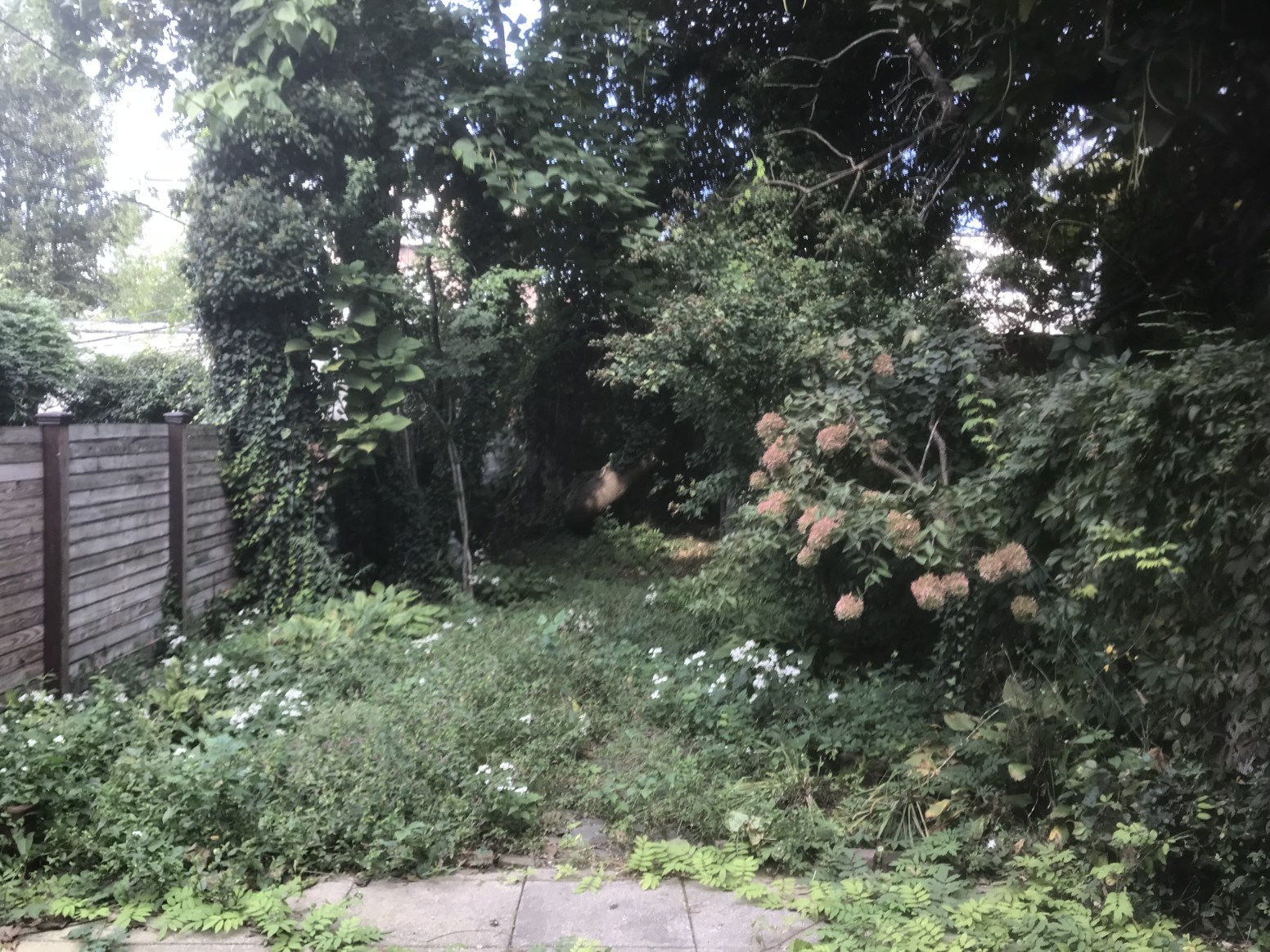 181 13th Street, Unit 1A Brooklyn, NY 11215 - Photo 7 of 9