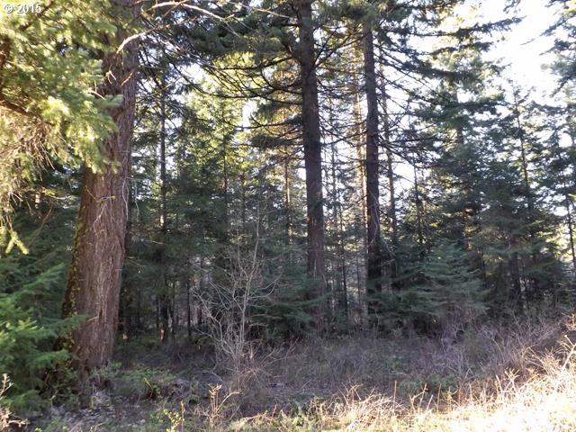 Snowden Road White Salmon, WA 98672 - Photo 14 of 16 Gallery Image 14