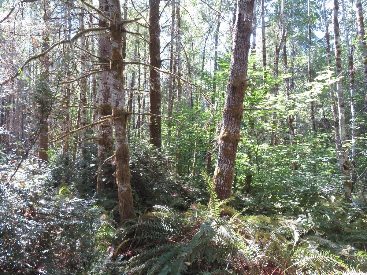 East Thomas Road Grapeview, WA 98546 - Photo 22 of 32 Gallery Image 22