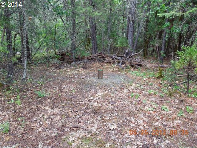 3444 Rockydale Road Cave Junction, OR 97523 - Photo 6 of 7