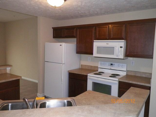 1007 Wells Way Spring Hill, TN 37174 - Photo 7 of 15