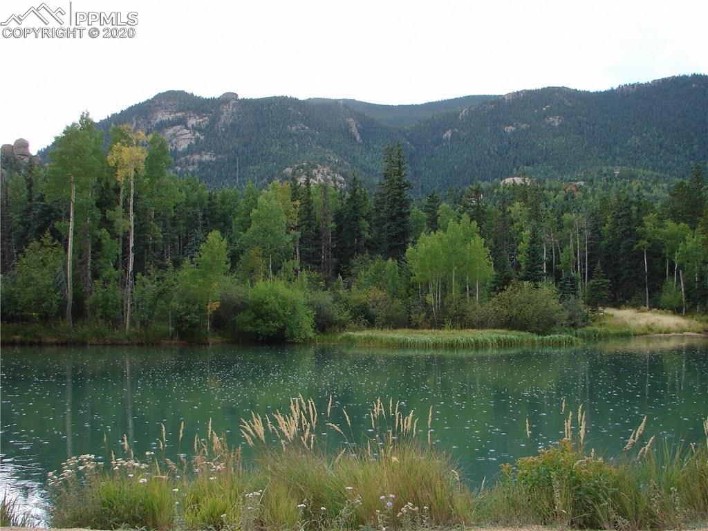 6310 Waterfall Loop Manitou Springs, CO 80829 - Photo 25 of 30