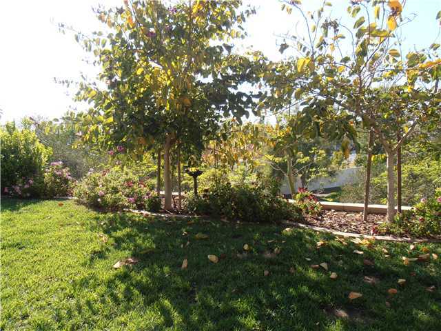 16170 Country Day Road Poway, CA 92064 - Photo 20 of 25 BACKYARD