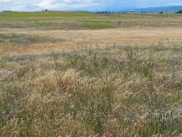 680 Horseshoe Bend Road Centerville, WA 98613 - Photo 17 of 19 Gallery Image 17