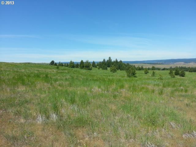 Schilling Road, Unit 113 Lyle, WA 98635 - Photo 11 of 14 Gallery Image 11