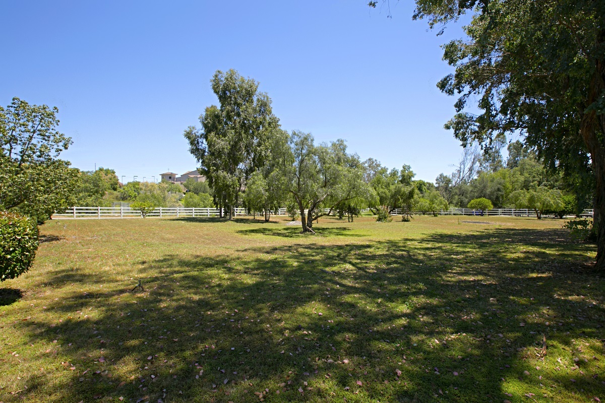 30968 Cole Grade Road Valley Center, CA 92082 - Photo 23 of 25 EXPANSIVE...to say the least! This property's vast acreage includes many various Citrus & Fruit Trees, Roses, & Shade Trees! Also zone for HORSES!