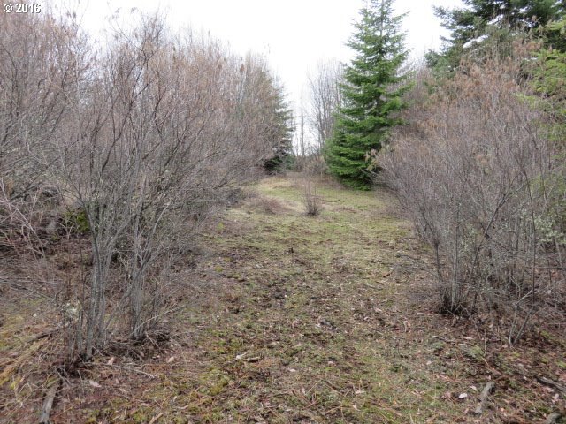 Mill Road Appleton, WA 98602 - Photo 9 of 11 Gallery Image 9