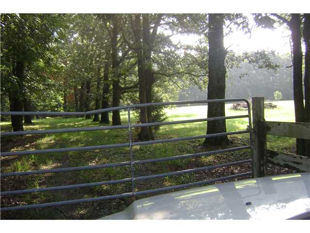 9266 Davies Plantation Road Bartlett, TN 38133 - Photo 5 of 10