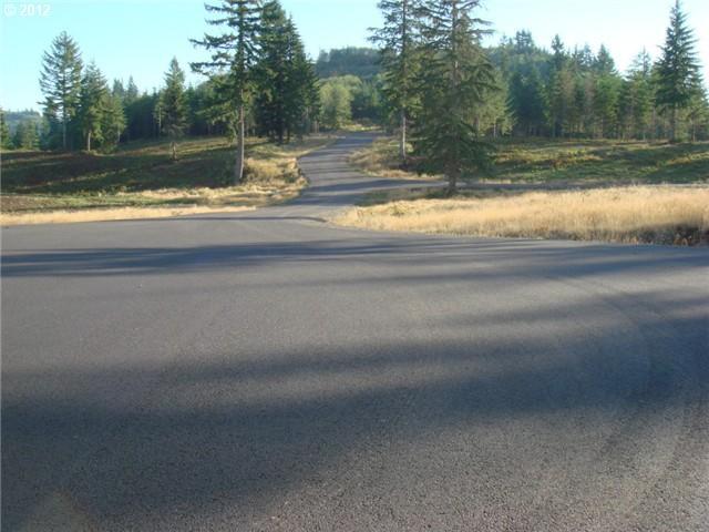 0 Bodine Road, Unit LOT 2 Kelso, WA 98626 - Photo 2 of 2 Gallery Image 2
