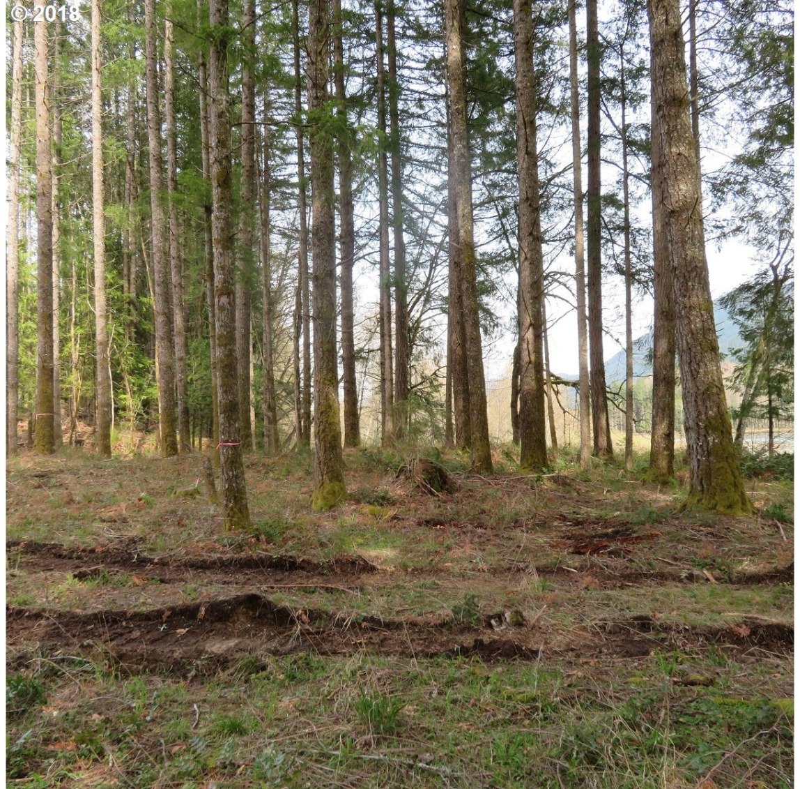 Carr Road Randle, WA 98377 - Photo 16 of 32 Gallery Image 16