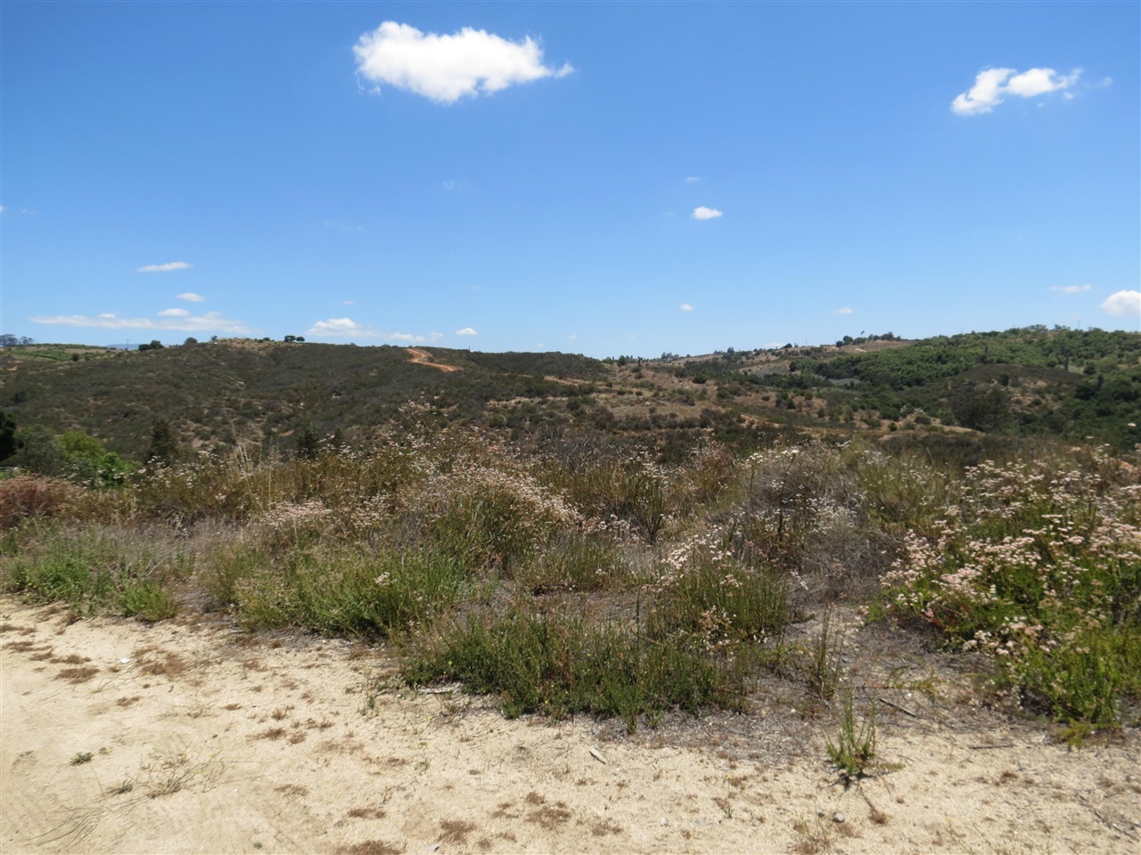 0 Ritson Road Escondido, CA 92026 - Photo 11 of 14