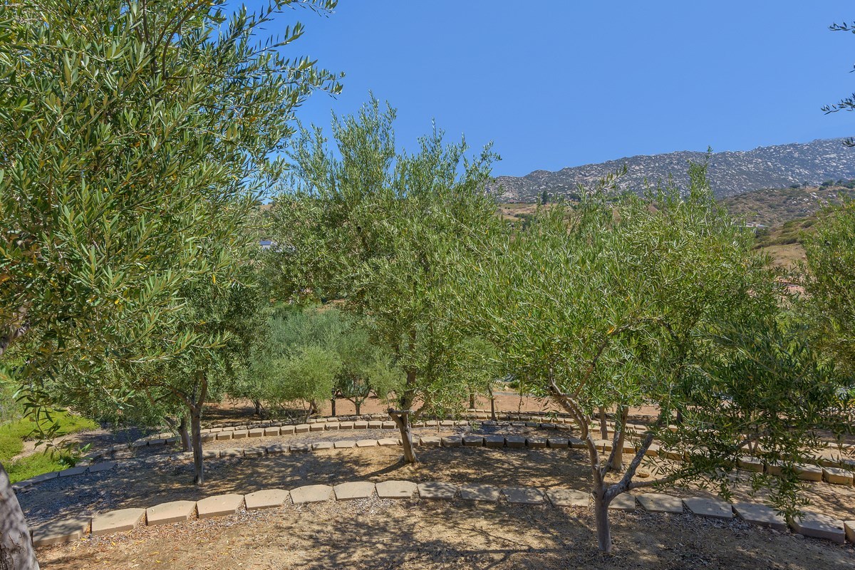 15533 Canyon View Way Poway, CA 92064 - Photo 20 of 25 Gallery Image 20