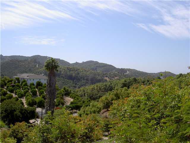 0 American Road Fallbrook, CA 92028 - Photo 8 of 16