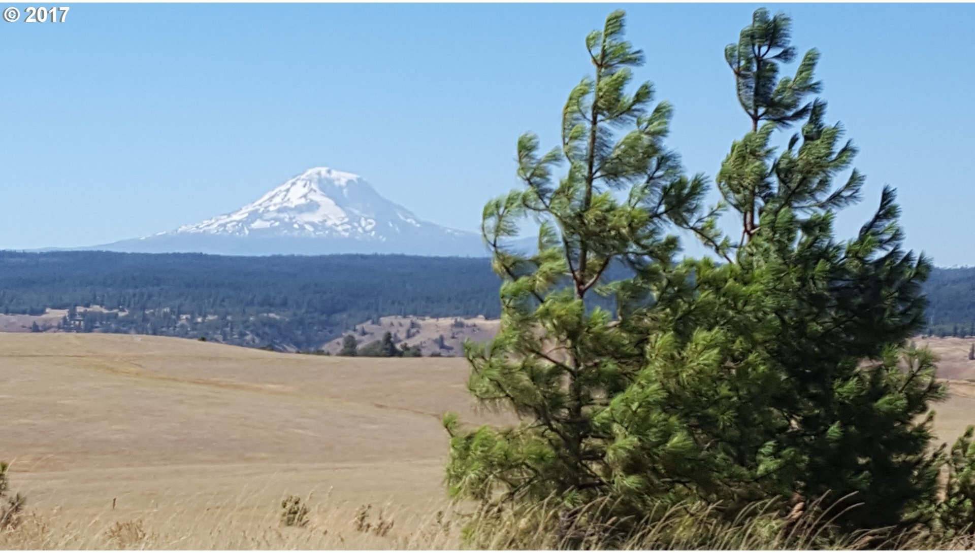 Red Tail Road Lyle, WA 98635 - Photo 4 of 30 Gallery Image 4