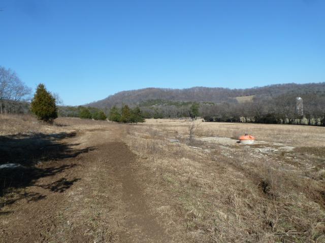 6888 Choctaw Road College Grove, TN 37046 - Photo 13 of 27 Gallery Image 13