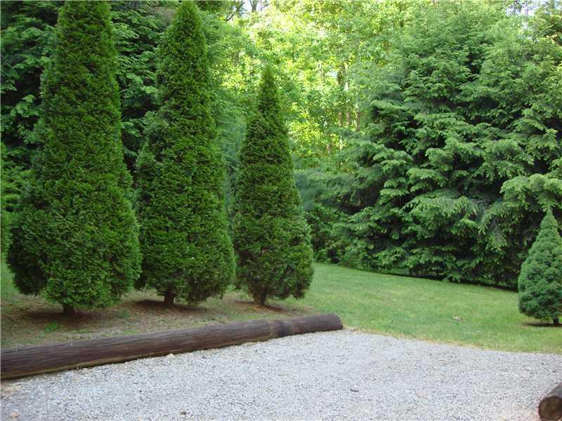 113 Fern Road Emlenton, PA 16373 - Photo 21 of 24 Gallery Image 21