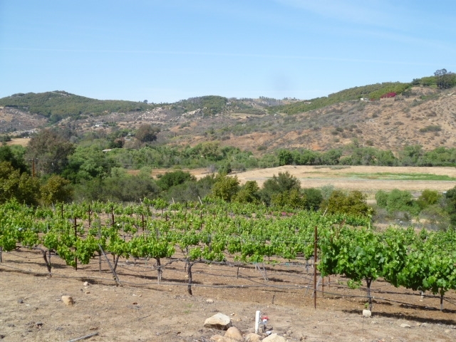 0 Luis Rey Heights Road Bonsall, CA 92003 - Photo 4 of 13