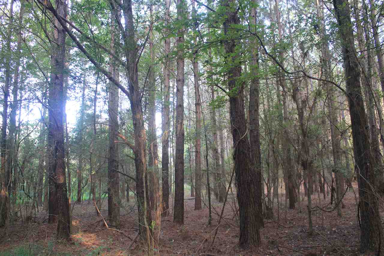1433 Freeman Road Como, MS 38619 - Photo 16 of 25 Gallery Image 16