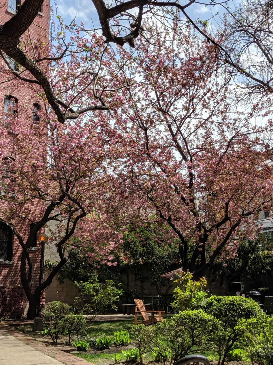 138 Baltic Street, Unit 3C Brooklyn, NY 11201 - Photo 10 of 12