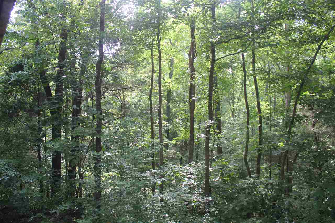 203 Cathy Road Holly Springs, MS 38635 - Photo 24 of 25 Gallery Image 24
