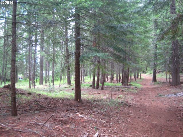 Wood Road Trout Lake, WA 98650 - Photo 2 of 9 Gallery Image 2