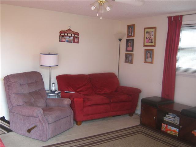 125 Tuckers Gap Road Lebanon, TN 37090 - Photo 10 of 30 Other side of the living room