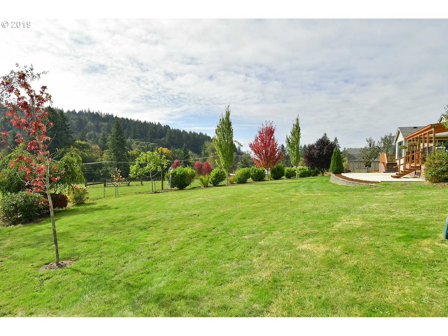 19450 Southeast Borges Road Damascus, OR 97089 - Photo 5 of 32