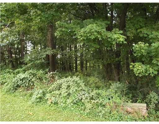 145 Critchlow School Road Renfrew, PA 16053 - Photo 17 of 18 Gallery Image 17