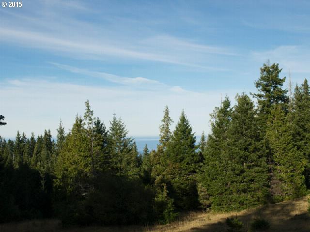 Signal Buttes Gold Beach Gold Beach, OR 97444 - Photo 5 of 16 Gallery Image 5