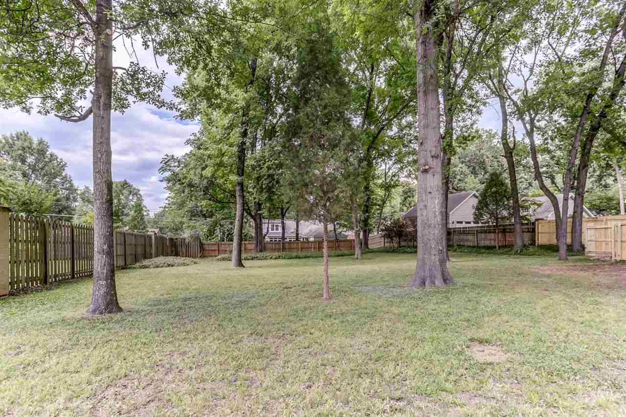 5300 Walnut Grove Road Memphis, TN 38120 - Photo 24 of 25