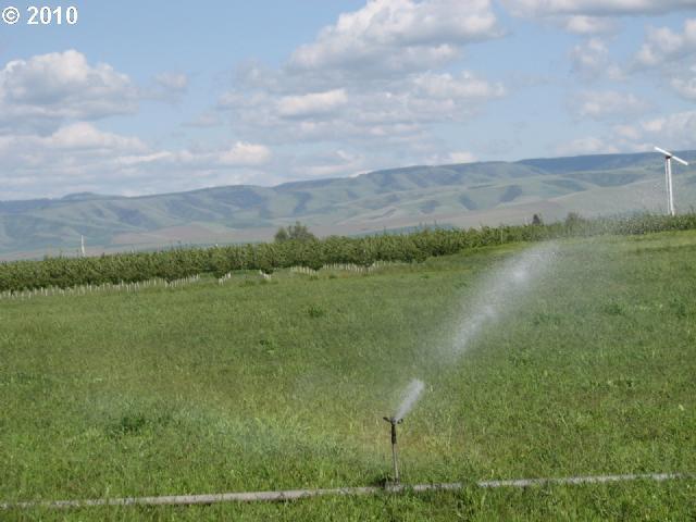 52765 County Road Milton Freewater, OR 97862 - Photo 1 of 3