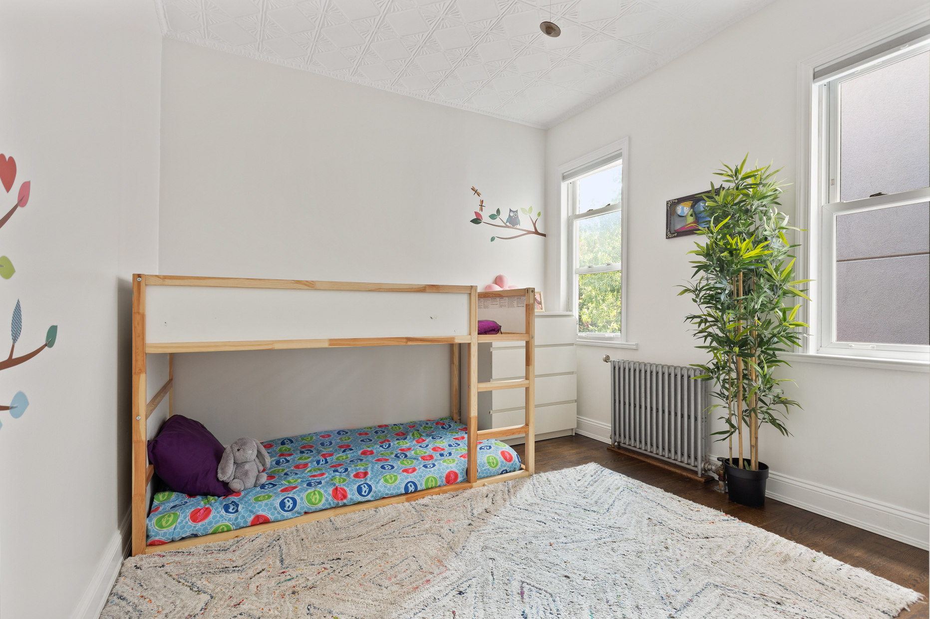 191 Java Street Brooklyn, NY 11222 - Photo 8 of 17