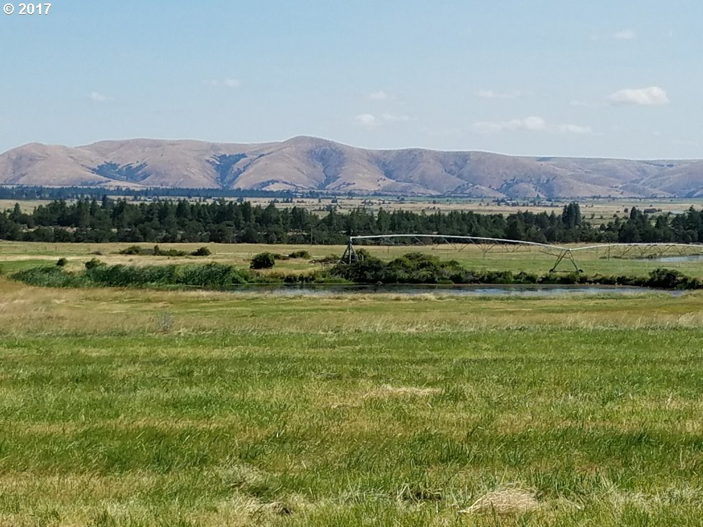 79263 Ayres Road Tygh Valley, OR 97063 - Photo 23 of 31 Gallery Image 23