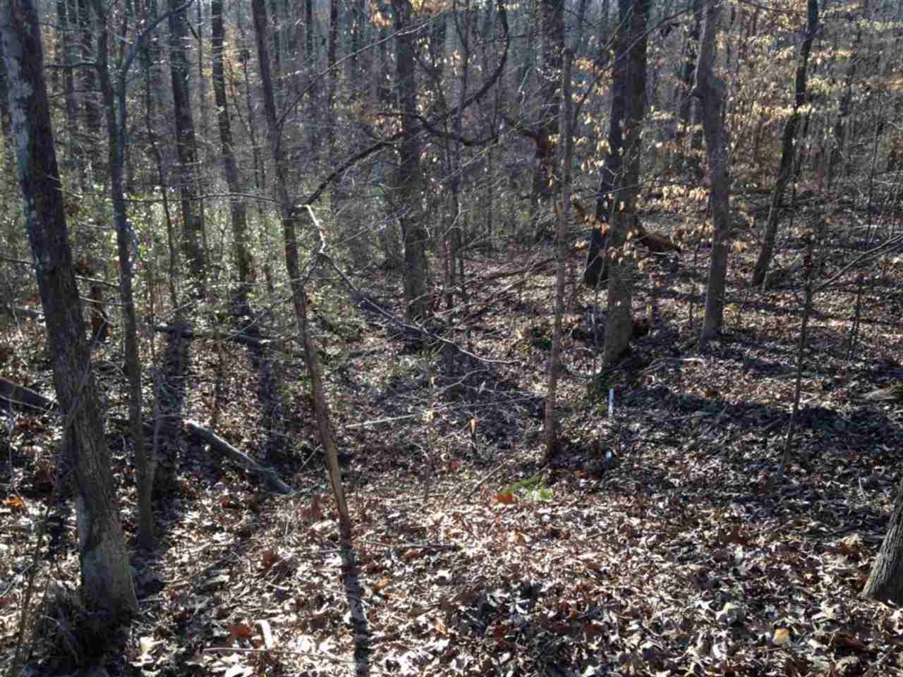 544 Bowers Road Drummonds, TN 38023 - Photo 16 of 21 Gallery Image 16