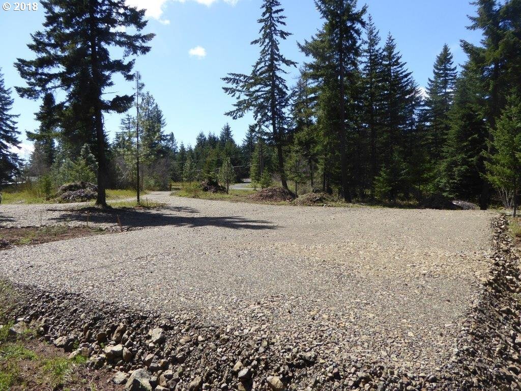 Bristol Road White Salmon, WA 98672 - Photo 6 of 21
