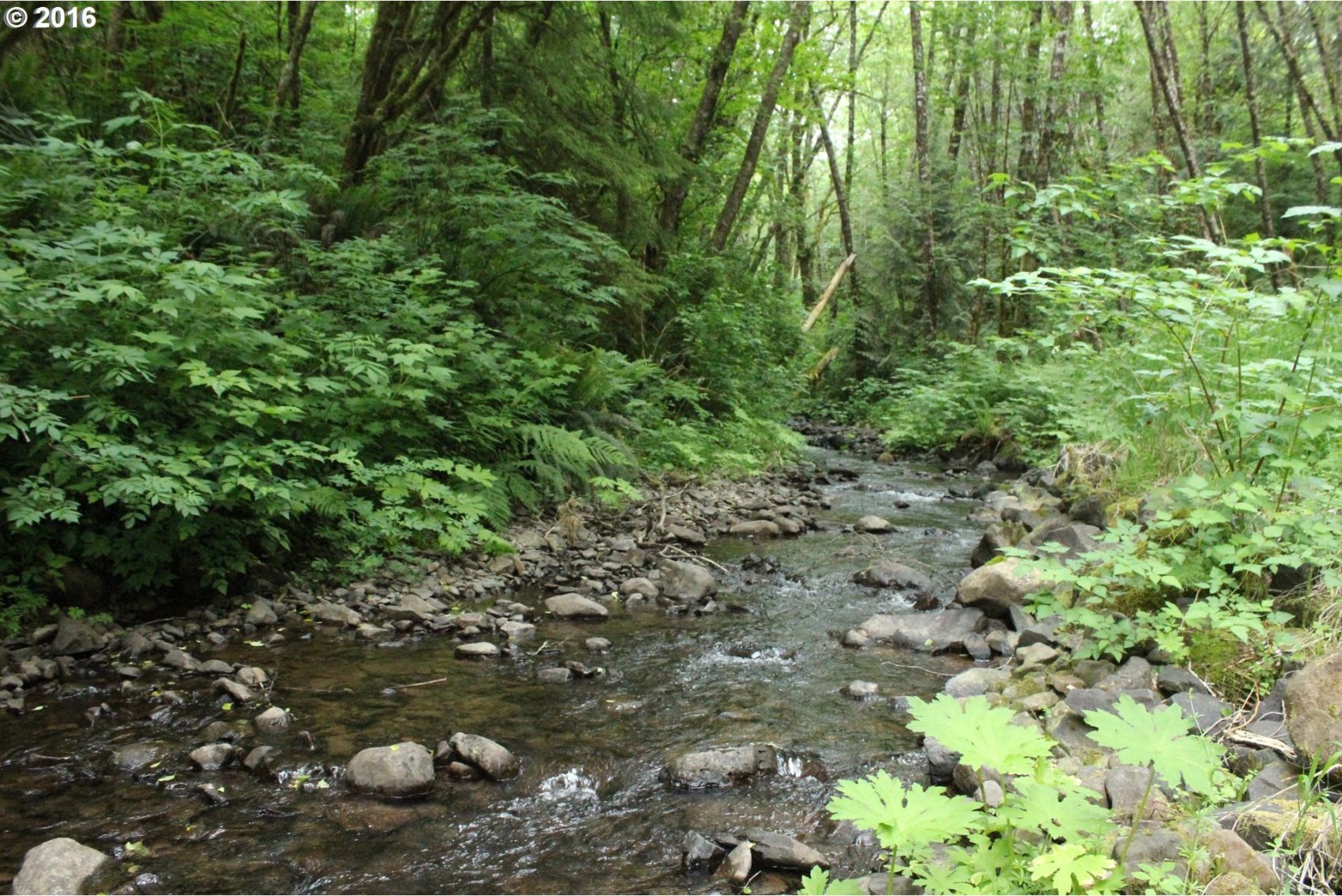 261 Beaver Creek Road Cathlamet, WA 98612 - Photo 12 of 13 Gallery Image 12