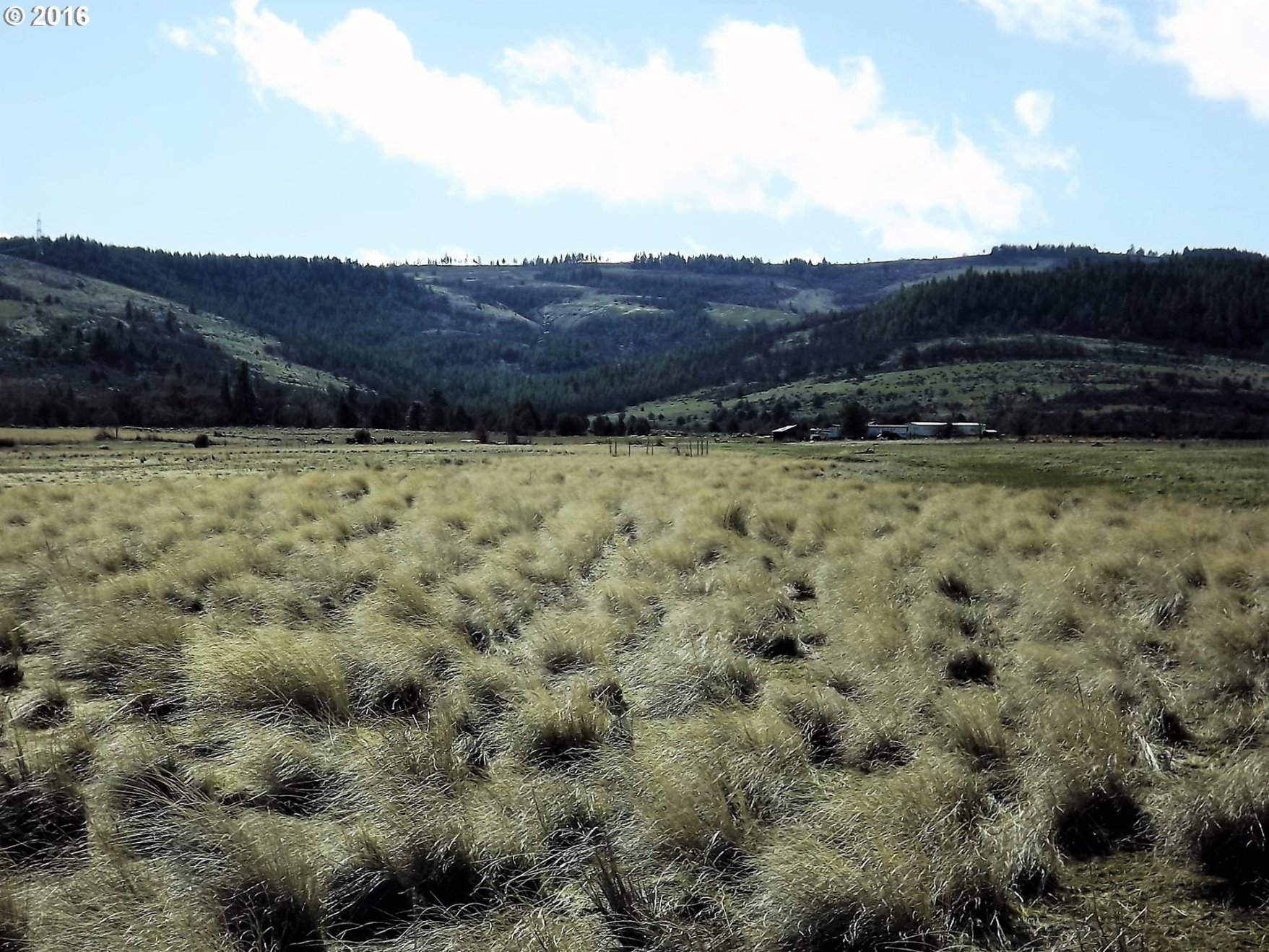 Walters Road Maupin, OR 97037 - Photo 15 of 24 Gallery Image 15
