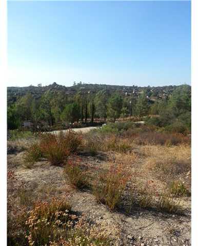 23249 Coyote Holler Road Potrero, CA 91963 - Photo 8 of 15 Gallery Image 8