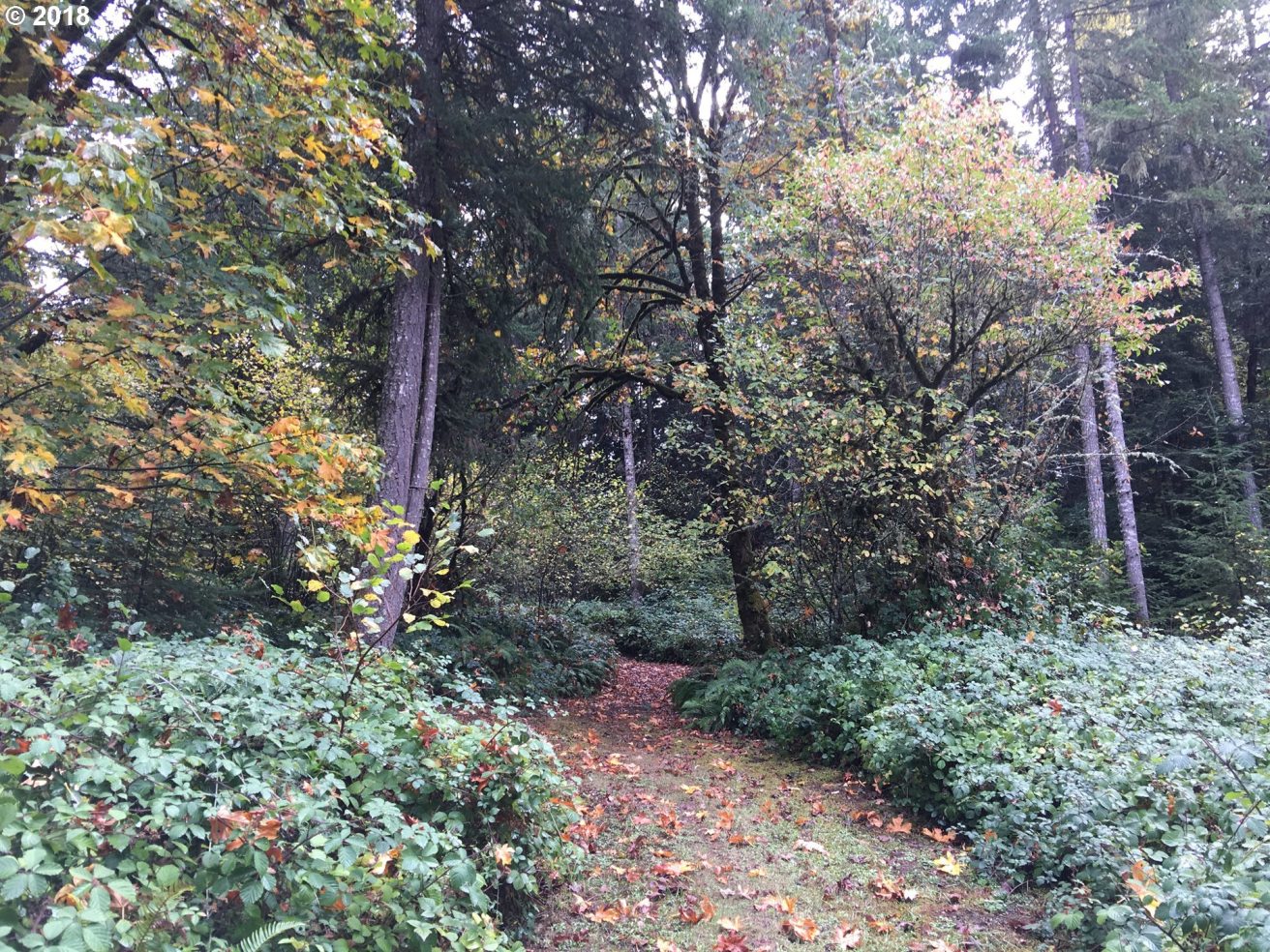 31748 Camas Swale Road Creswell, OR 97426 - Photo 30 of 32 Gallery Image 30